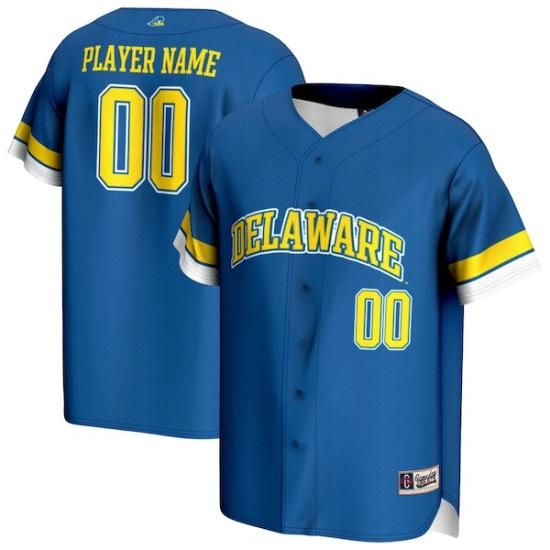 Delaware Fightin' ֥롼 Hens ǥ Greås 桼 NIL P ᡼