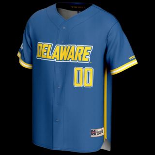 Delaware Fightin' ֥롼 Hens ǥ Greås 桼 NIL P ͥ