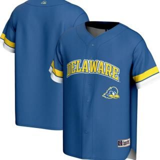 Delaware Fightin' ֥롼 Hens ǥ Greås 桼 ԥå ͥ
