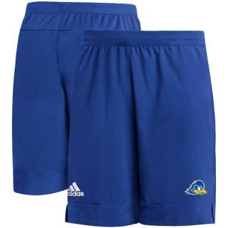 Delaware Fightin' ֥롼 Hens ǥ ɥ饤 9 Heå R ͥ