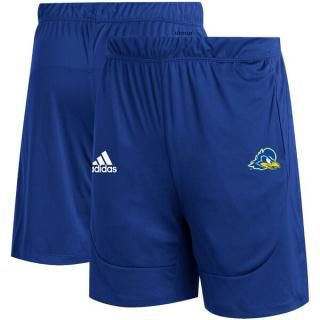 Delaware Fightin' ֥롼 Hens ǥ ɥ饤 ˥å ѥ -  ͥ