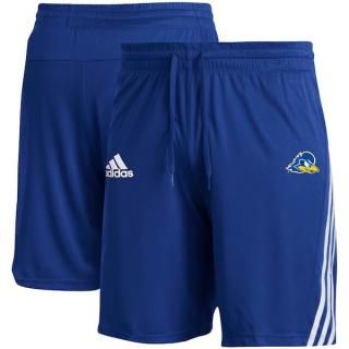 Delaware Fightin' ֥롼 Hens ǥ ɥ饤 ꡼-ȥ饤  ͥ