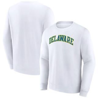 Delaware Fightin' ֥롼 Hens եʥƥ 硼ȥѥ ͡ ץ륪 ͥ