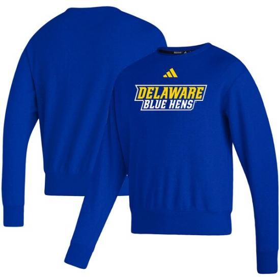 Delaware Fightin' ֥롼 Hens ǥ ɥ饤 ץߥ ȥ  ᡼