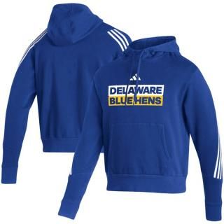 Delaware Fightin' ֥롼 Hens ǥ ɥ饤 եå ץ륪 ͥ