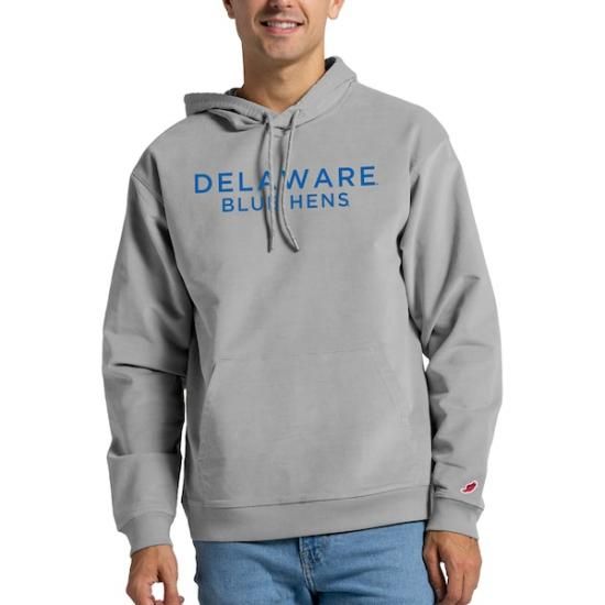 Delaware Fightin' ֥롼 Hens ꡼ 쥸  ȥå Co ᡼