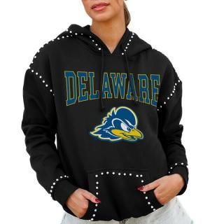 Delaware Fightin' ֥롼 Hens ǡ Cure ǥ Stu ͥ
