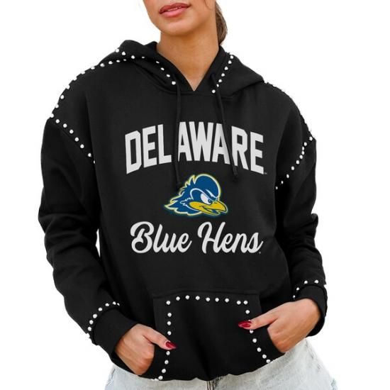 Delaware Fightin' ֥롼 Hens ǡ Cure ǥ Stu ᡼