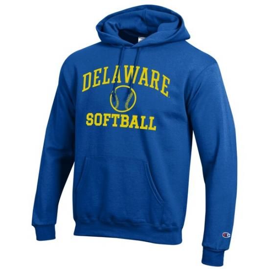 Delaware Fightin' ֥롼 Hens ԥ  եball ѥ ᡼2