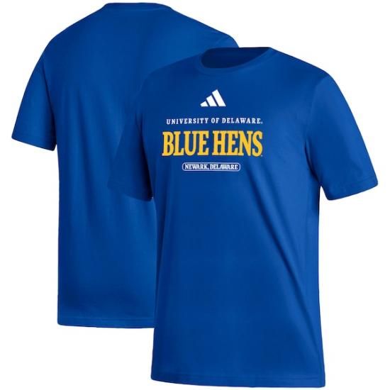 Delaware Fightin' ֥롼 Hens ǥ ɥ饤 Fresh 硼 ᡼1