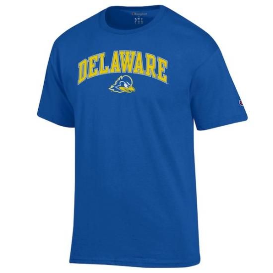 Delaware Fightin' ֥롼 Hens ԥ  С  ԥ ᡼2