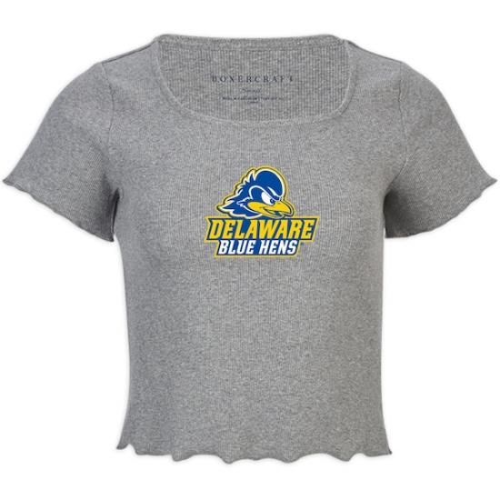 Delaware Fightin' ֥롼 Hens ǥ 졼 ٥ӡ ȥå ԥ ᡼2
