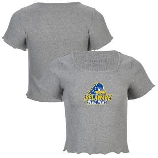 Delaware Fighti ͥ