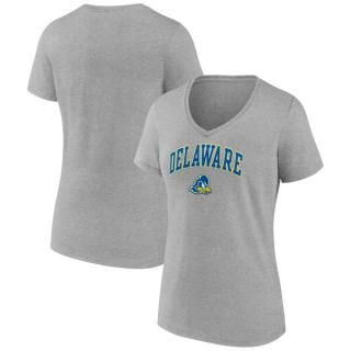 Delaware Fighti ͥ