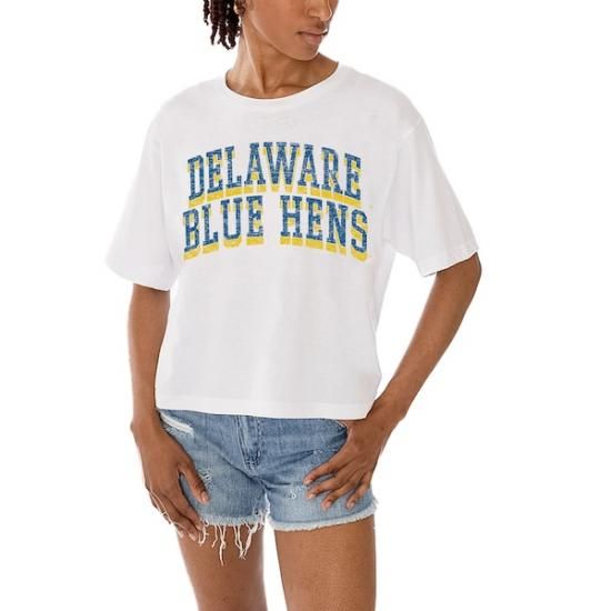 Delaware Fightin' ֥롼 Hens ǡ Cure ǥ Cla ᡼1