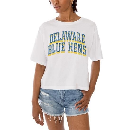 Delaware Fightin' ֥롼 Hens ǡ Cure ǥ Cla ᡼2