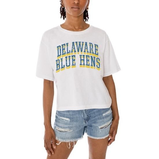 Delaware Fightin' ֥롼 Hens ǡ Cure ǥ Cla ᡼3