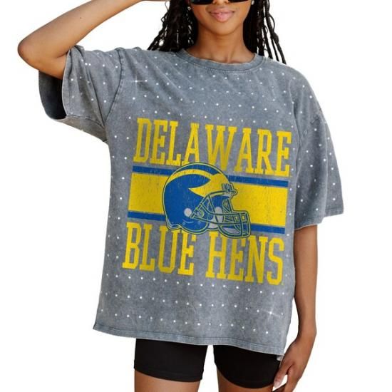 Delaware Fightin' ֥롼 Hens ǡ Cure ǥ   ᡼1