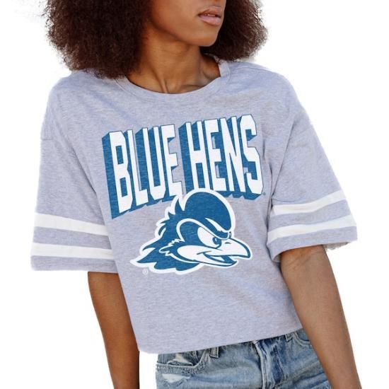 Delaware Fightin' ֥롼 Hens ǡ Cure ǥ No  ᡼1