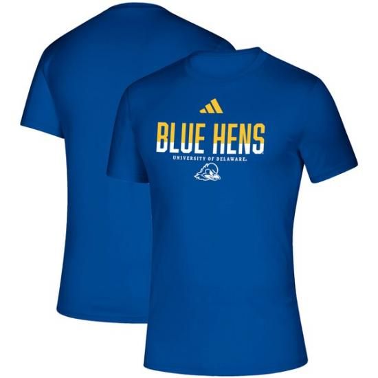 Delaware Fightin' ֥롼 Hens ǥ ɥ饤 ꥨ ԥ ᡼