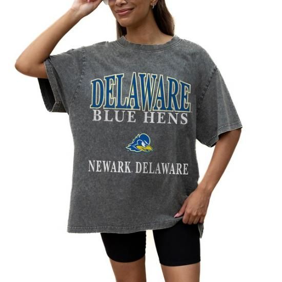 Delaware Fightin' ֥롼 Hens ǡ Cure ǥ  ᡼1