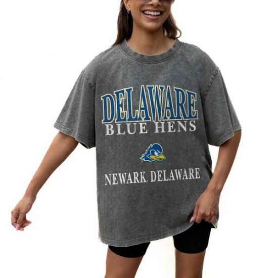 Delaware Fightin' ֥롼 Hens ǡ Cure ǥ  ᡼2