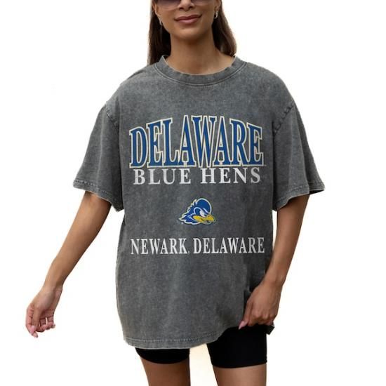 Delaware Fightin' ֥롼 Hens ǡ Cure ǥ  ᡼3