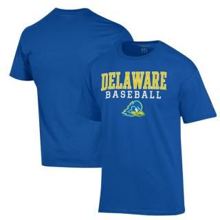 Delaware Fightin' ֥롼 Hens ԥ Stack ١ܡ ԥ ͥ