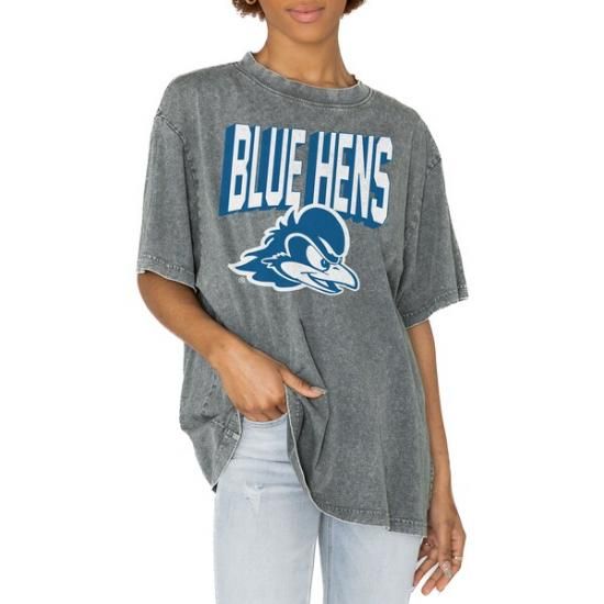 Delaware Fightin' ֥롼 Hens ǡ Cure ǥ  ᡼1