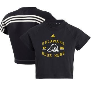 Delaware Fightin' ֥롼 Hens ǥ ǥ Recycled û ͥ