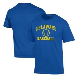 Delaware Fightin' ֥롼 Hens ԥ  ١ܡ ԥ ͥ