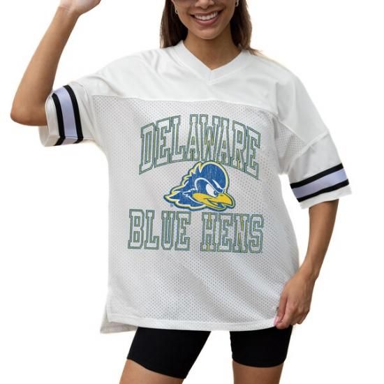 Delaware Fightin' ֥롼 Hens ǡ Cure ǥ  ᡼3