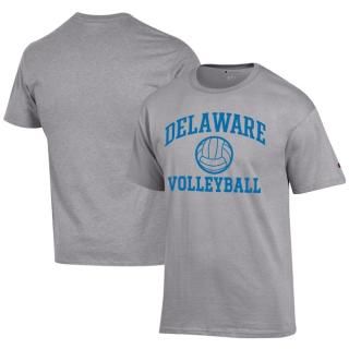 Delaware Fightin' ֥롼 Hens ԥ   Volleyba ͥ