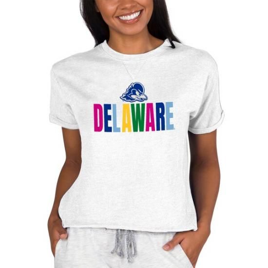Delaware Fightin' ֥롼 Hens 󥻥ץ ݡ ǥ ȥ饤֥ ᡼