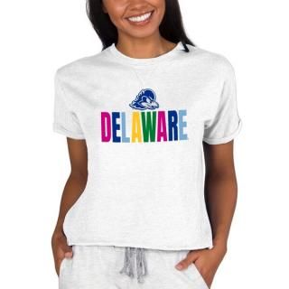 Delaware Fightin' ֥롼 Hens 󥻥ץ ݡ ǥ ȥ饤֥ ͥ