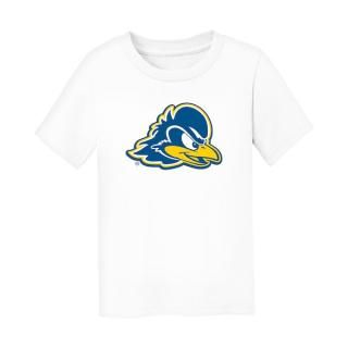 Delaware Fighti ͥ