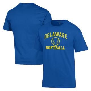 Delaware Fightin' ֥롼 Hens ԥ  եball ѥ ͥ