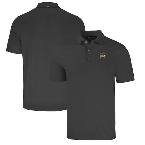 ECU Piråes åter & Buck ӥå & ȡ Forge Eco ȥ ᡼1