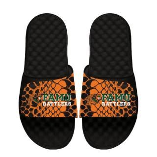 Florida A&M Råtlers I饤 ˥å 䡼 Of  Snake  ͥ