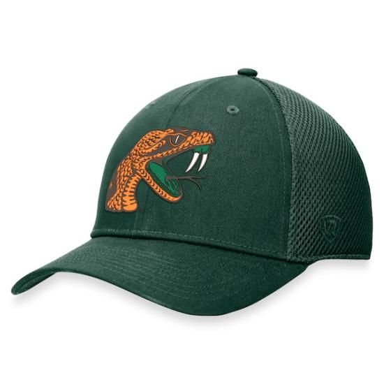 Florida A&M Råtlers ȥå  the  Spacer եå ᡼