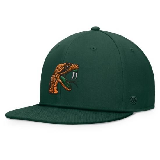 Florida A&M Råtlers ȥå  the  ե󥿥 ʥ ᡼