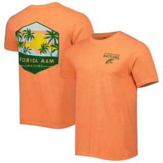 Florida A&M Råtlers L&scape  ԥ -  ͥ
