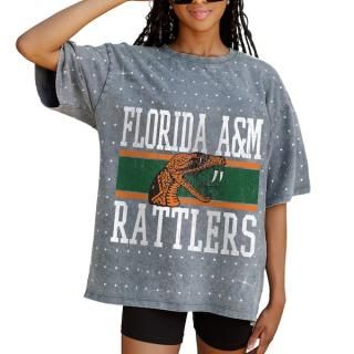 Florida A&M Råtlers ǡ Cure ǥ  the  ͥ