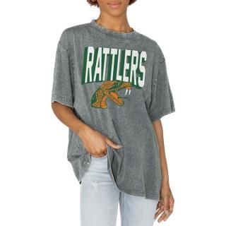 Florida A&M Råtlers ǡ Cure ǥ å Def ͥ