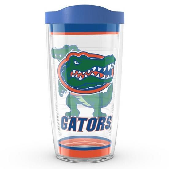ե Tervis 16(473ml) ȥǥ 饷å ֥顼 ᡼