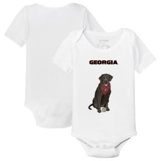 硼֥ɥå ˡ Turnip å ֥å Labrador Retriev ͥ
