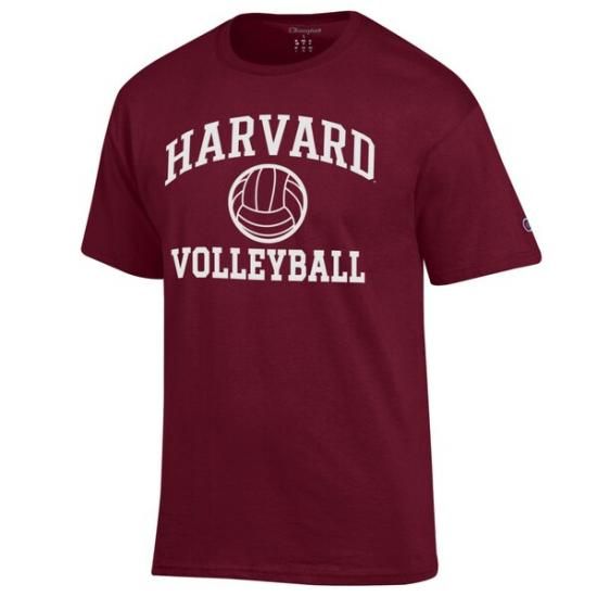 ϡСɡॾ ԥ   Volleyball 㡼 ԥ - ᡼2