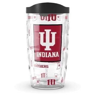 ǥʡա㡼 Tervis 10󥹡295ml С 饷å  ͥ