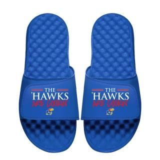 󥶥ۡ I饤  'Hawks Are Cookin' 饤   ͥ