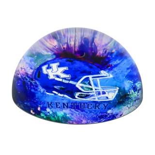 󥿥å磻ɥå  ץ饤 Dome Paper Weight ͥ